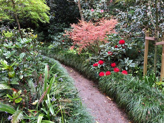 Eden Garden